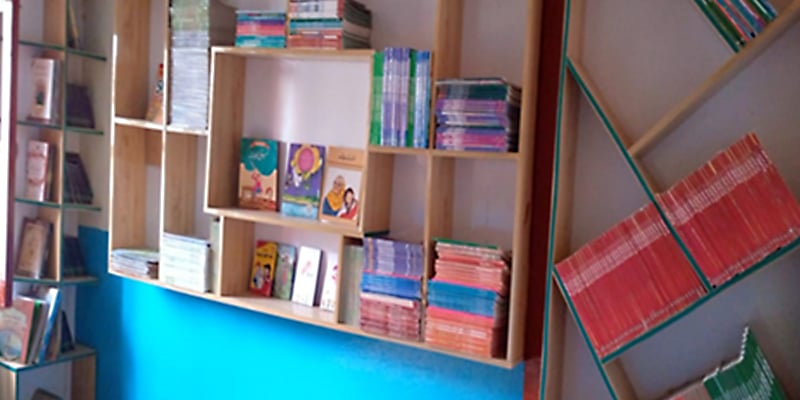Mini library in Pakistan
