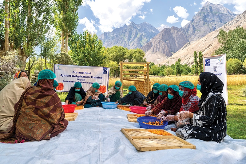 Pakistan women working in CAI’s apricot project