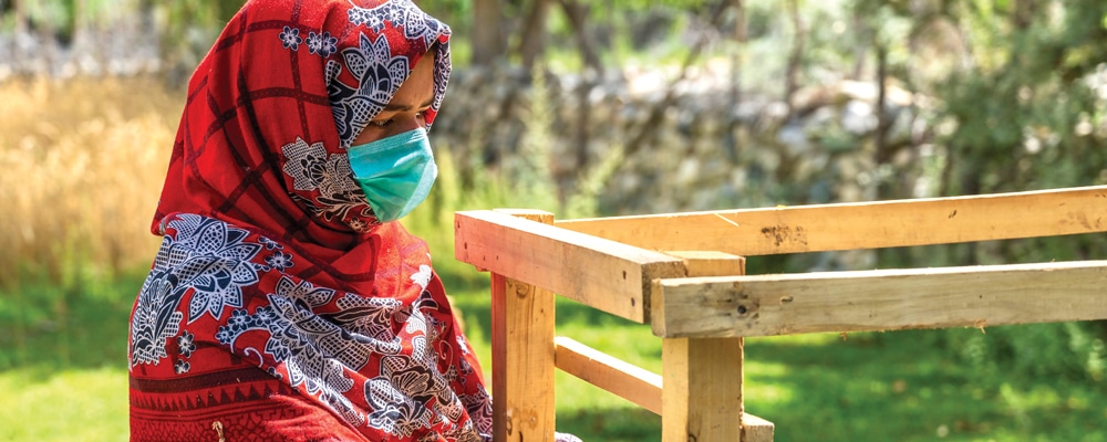 Woman harvesting apricots in Pakistan