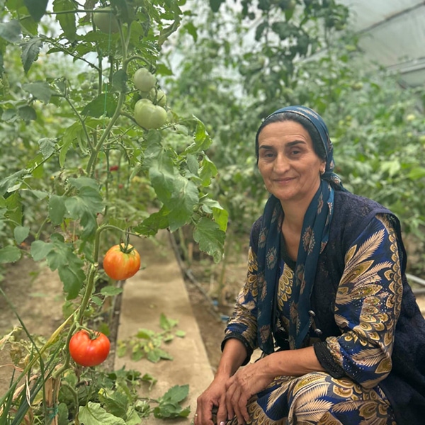 Gardner in Tajikistan
