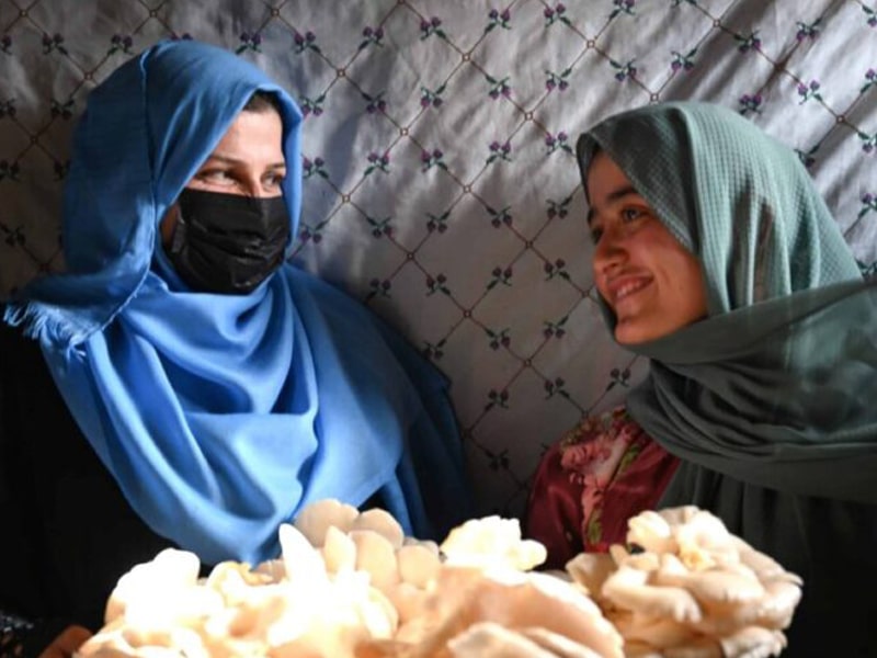 Webinar November 19, 2025