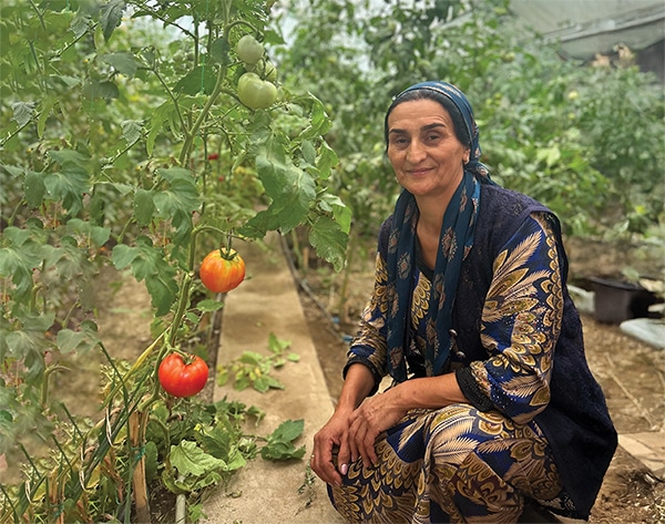 Woman agricultural entrepreneur in Tajikistan growing tomatoes