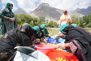 Pakistani entrepreneurs learning how to dehydrate apricots